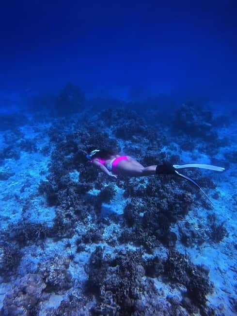 Bantayan Island: Fundive Freediving Excursion - What to Expect on the Day