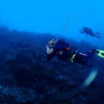 Bantayan Island: Fundive Scuba Adventure - Who Is This Tour Best For?