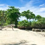 Bantayan Island Getaway Package | 3D/2N - Why Travelers Love This Experience