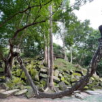 Banteay Srei, Kulen Waterfall & Beng Mealea Small-Group Tour - The Practicalities: What You Need to Know