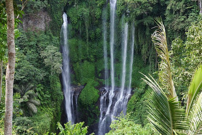 Banyuwana & Banyumala Waterfalls Tour (Private & All-Inclusive ) - Exploring Bali’s Waterfalls and Temples: What to Expect