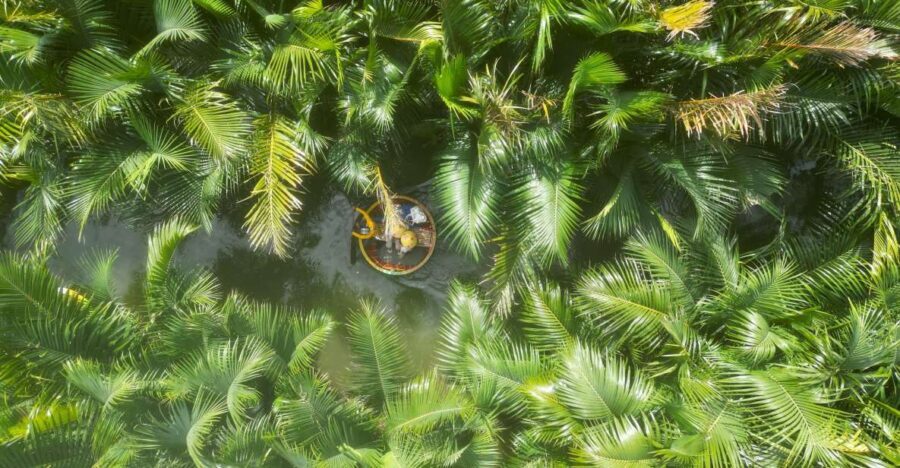 Basket Boat at Coconut Village, Kitchen Show and Big Lunch - The Full Experience: What to Expect from Start to Finish