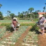 Basket Boat-Buffalo Ride-Farming-Pottery Making &Marble Mountains - The Sum Up