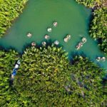 Basket Boat Ride, Coconut Forest, Sunset and Hoi An Town by Night - What Makes This Tour Stand Out?