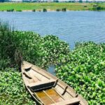 Basket Boat Riding and Cooking Class from Da Nang City - Something to Consider