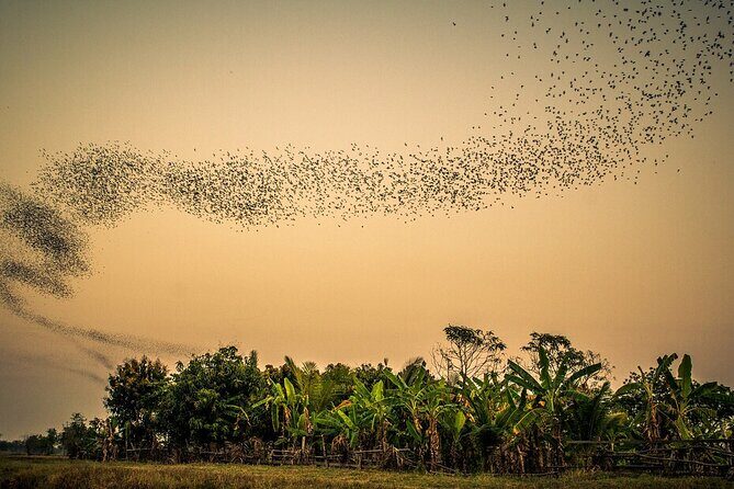 Battambang Tuk Tuk tour: Bambootrain, Killing & Bat Caves,Sunset - What Travelers Love Most