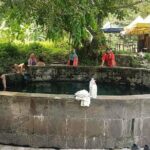 Batu Caves,Waterfalls and Hot Springs Tour With Lunch - A Deep Dive into the 6-Hour Adventure