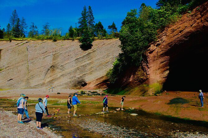 Bay Of Fundy Guided Tour - Transportation and Comfort