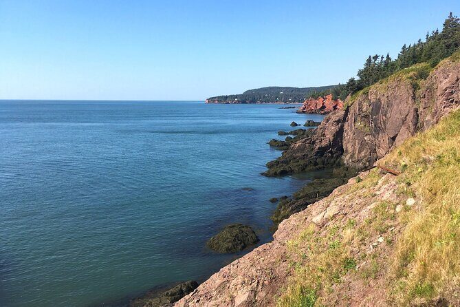 Bay of Fundy Tour in Luxury Car - What Makes This Tour Stand Out