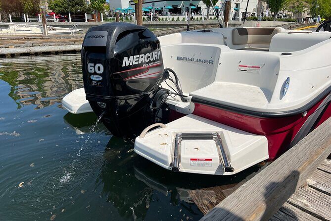 Bayliner Element 60HP Boat - Final Thoughts
