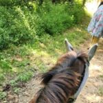 B&C horseback riding in nature and Keeneland racetrack. - Who Should Consider This Tour?