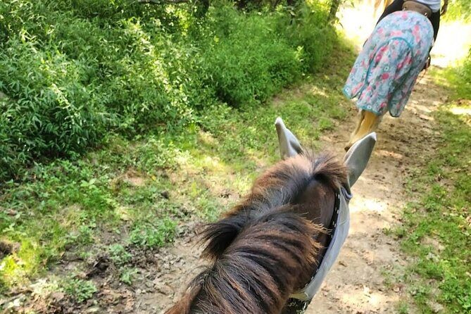 B&C horseback riding in nature and Keeneland racetrack. - Who Should Consider This Tour?