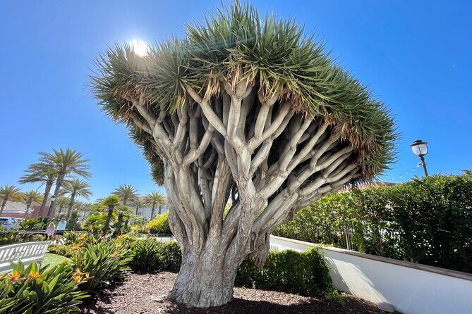 Beach and shopping Tour in San Diego (Private) - Frequently Asked Questions