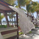 Beach Club tour with beautiful views of the Caribbean Sea. Transport included - Who Will Enjoy This Tour?