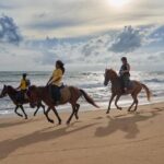 Beach Horse Riding Activity in Phuket - FAQ