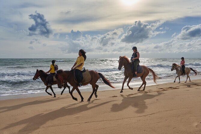 Beach Horse Riding Activity in Phuket - FAQ
