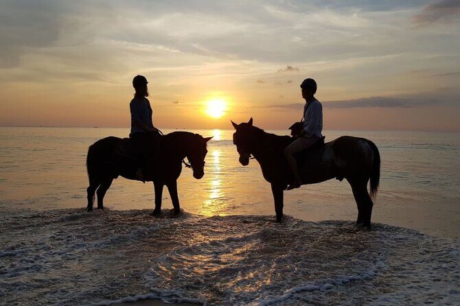 Beach Horse Riding At Sunset In Phuket - Authentic Feedback from Travelers