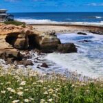 Beaches & Bluffs San Diego's Ultimate Coastal Driving Tour - Practical Details and Value