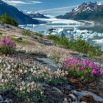 Bear Glacier Helicopter Tour with Landing - An In-Depth Look at the Bear Glacier Helicopter Tour