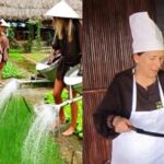 Become a Farmer at Tra Que Vegetable Village included cooking class and Foot Massage - Who Is This Tour Best For?