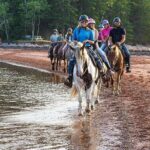 Beginner Brudenell Beach Trail Ride - Authenticity and Intimate Experience