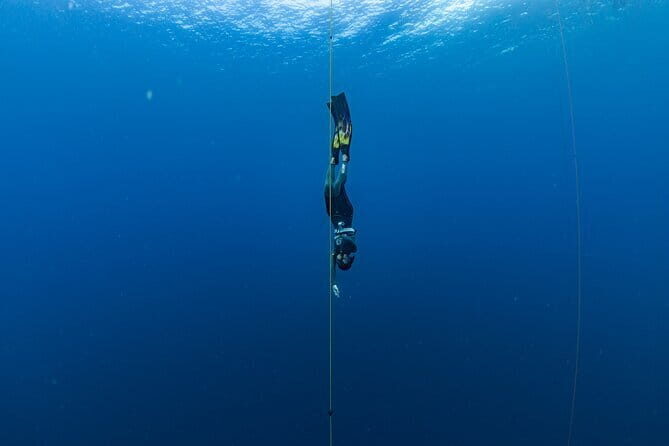 Beginner Freediving Course (with Bonus Session) - Comprehensive Review of the Freediving Experience