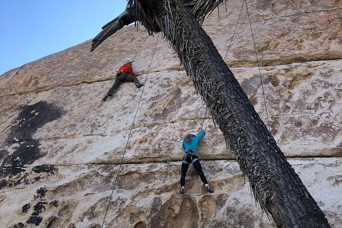 Beginner Group Rock Climbing in Joshua Tree National Park - Who Will Love This?