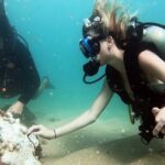 Beginner Scuba Diving Experience With Videos in West Palm Beach - What to Expect During the Tour