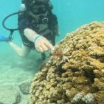 Beginner Scuba Experience with Video Package in Honolulu - What to Expect from Your Honolulu Beginner Scuba Tour