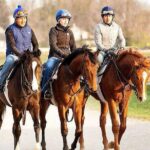 Behind the Scenes Thoroughbred Tour - Behind the Scenes Thoroughbred Tour: An Authentic Look at Kentucky’s Horse Capital