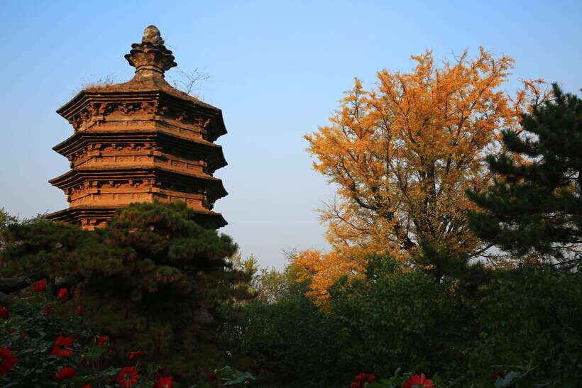 Beijing Buddhism Attractions Feature Day TourWith Options - An In-Depth Look at the Tour