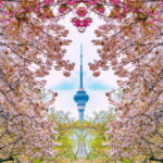 Beijing: Central Radio & TV Tower Observation Deck Ticket - The Experience in Detail