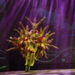 Beijing Evening Acrobat Show In Red Theater With Private Transfer - A Closer Look at the Red Theater Acrobat Show