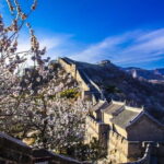 Beijing Mutianyu Great Wall Layover Tour & Private Transfer - Who Should Consider This Tour?