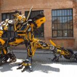 Beijing Private Tour to Mutianyu Great Wall and 798 Art District - Practicalities and What to Expect