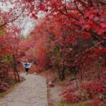 Beijing Private Tour to Summer Palace and Fragrant Hill with Cable Car Ride - The Value of This Tour