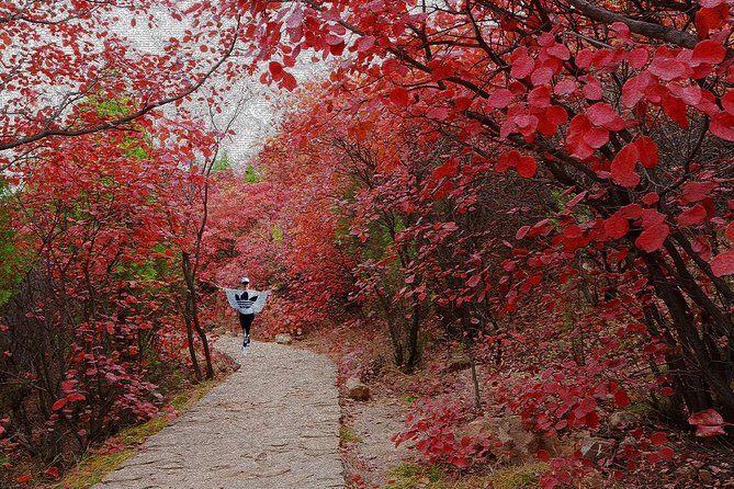 Beijing Private Tour to Summer Palace and Fragrant Hill with Cable Car Ride - The Value of This Tour