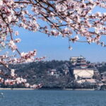 Beijing: Summer Palace Entry Ticket and Optional Guided Tour - A Deep Dive into the Summer Palace Experience