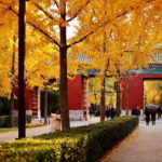 Beijing: Temple of Earth ticket; Serene, Majestic, Ancient - In-Depth Experience Breakdown