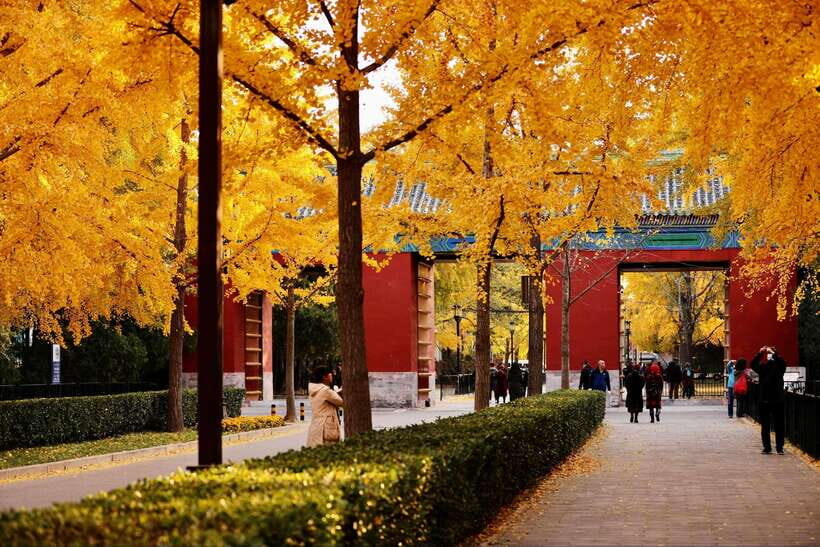 Beijing: Temple of Earth ticket; Serene, Majestic, Ancient - In-Depth Experience Breakdown