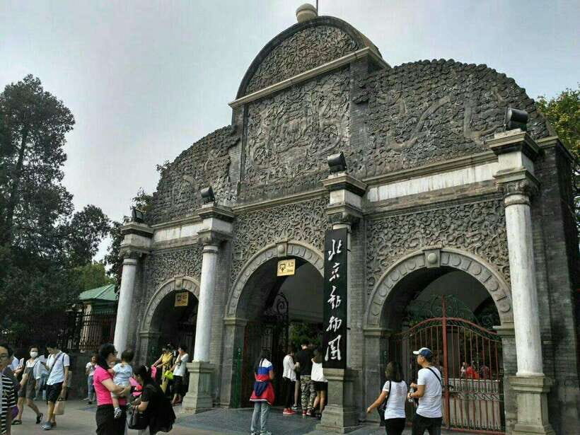 Beijing: The Beijing Zoo Entry Ticket with Pandas - Final Thoughts