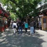 Beijing Walking Tour to Hutongs & Imperial Town(Tip based) - A Detailed Look at the Beijing Walking Tour