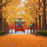 Beijing: Yonghe Lama Temple Tickets with guide (optional) - Why This Tour Offers Great Value