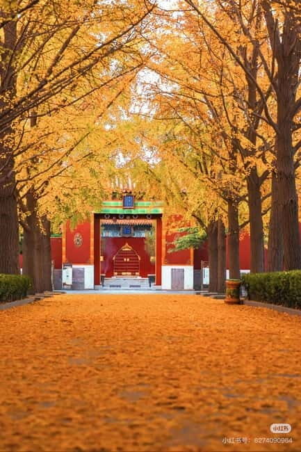 Beijing: Yonghe Lama Temple Tickets with guide (optional) - Why This Tour Offers Great Value