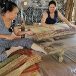 Ben Tre - Coconut Land Private One Day Guide Mekong Delta Tour Excursion - Practical Details and Value