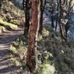 Benog Trek into the Wild - Who Should Consider This Trek?