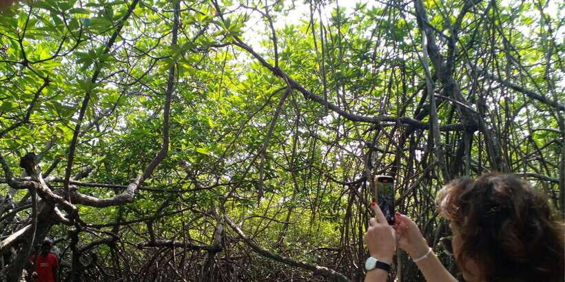 Bentota beach, River Mangroves lagoon, Wildlife Tour - Final Thoughts