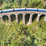 Bentota/Kalutara/Hikkaduwa: Day Trip to Ella Highlands - Cultural and Natural Highlights: Stops and Experiences