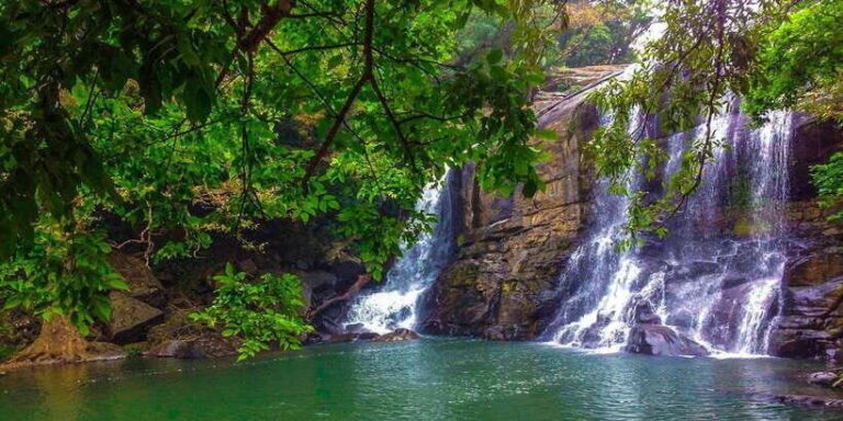 Bentota/Kalutara/Hikkaduwa: Day Trip to Ella Highlands - A Deep Dive Into the Day Trip to Ella Highlands