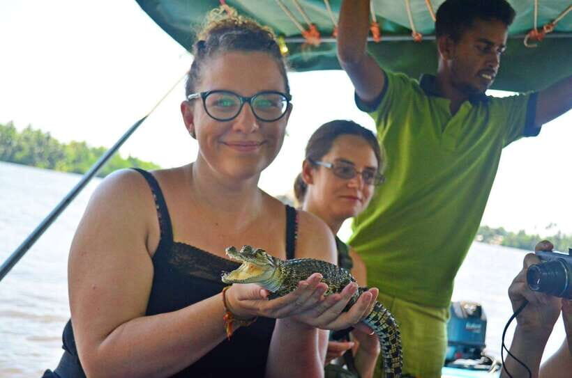 Bentota River Safari with Mangrove and Wildlife Encounter - In-Depth Review